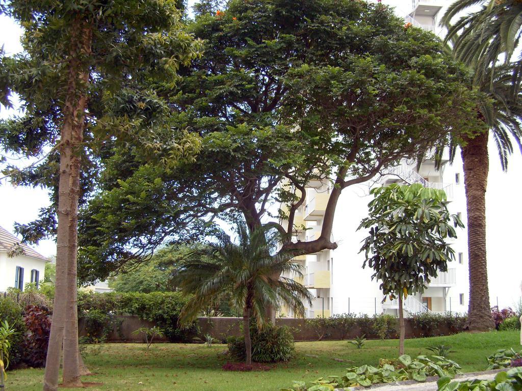 Casa Branca Apartments By Wanderlust Madeira, Vacation Rentals Funchal  Kültér fotó